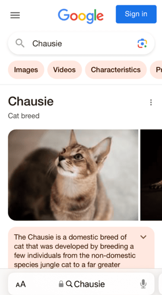 Drakula anti-izleme site tarayıcılarını bir kedi türüne yönlendiriyor